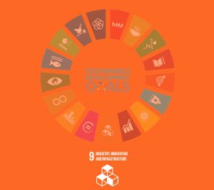 SDG Indicators Review and Policy Analysis